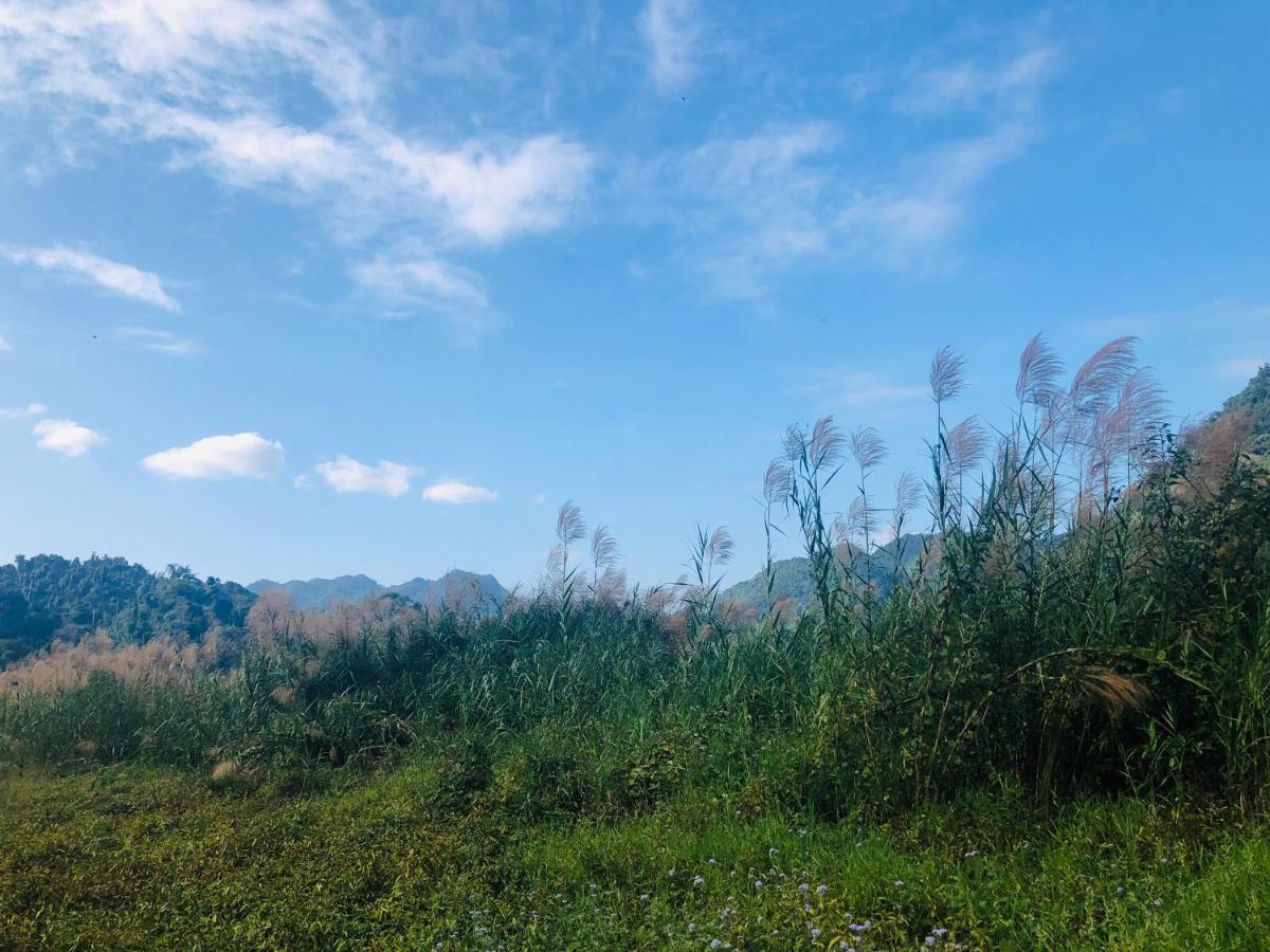 Tran Thuc Homestay-Ba Be Eksteriør bilde